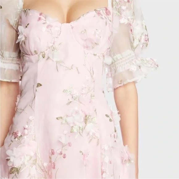 Dollz Kill X Sugar Thrillz floral embroidery mesh mini dress - Picture 6 of 9